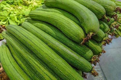 缩手瓜怎么吃,解锁美味新体验