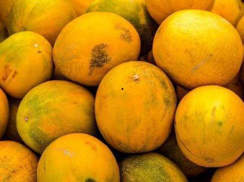 梦见吃甜面瓜,甜蜜面瓜带来的奇幻之旅