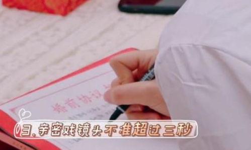 签婚前协议的明星,签婚前协议背后的故事与考量