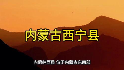 和林县头条,聚焦发展成果，共话美好未来