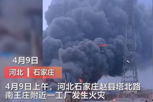 太谷媒体爆料事件视频,视频揭露惊人真相