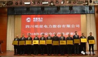 明星电力集团,引领绿色能源发展的领军企业