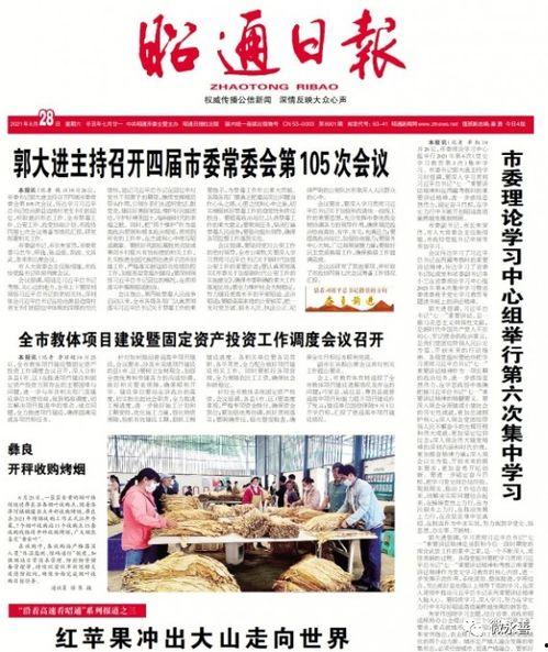 昭通大山最新新闻头条,最新进展情况揭晓