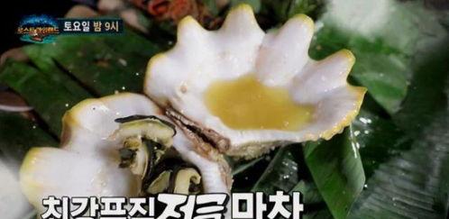 韩国明星蛤蜊,跨界美食界的璀璨明珠