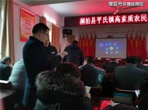 桐柏平氏镇头条号,聚焦发展新动态，共绘乡村振兴新画卷