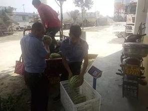 洋县头条退婚准备,退婚风波再起，真相揭秘引关注