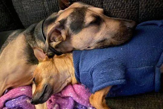 叫frank的明星,星光璀璨的娱乐界璀璨之星