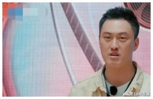 娱乐圈吃瓜采访是真的吗,揭秘真相还是虚构传闻？