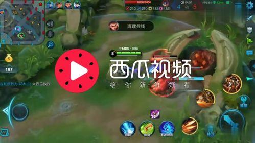 娱乐吃瓜号的背景音乐是什么,揭秘“吃瓜号”背景音乐之谜