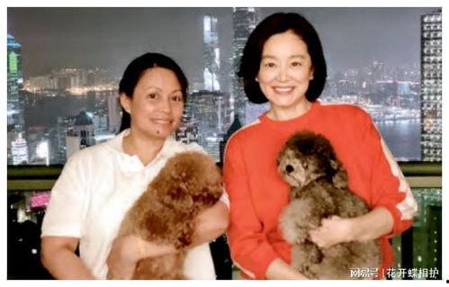 娱乐圈吃瓜真实案件,那些被隐藏的真实吃瓜事件